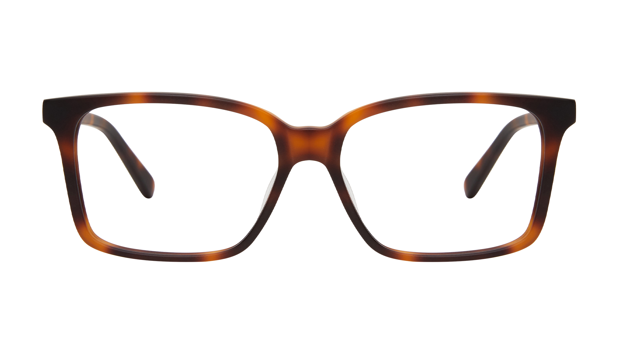 matte tortoise glasses