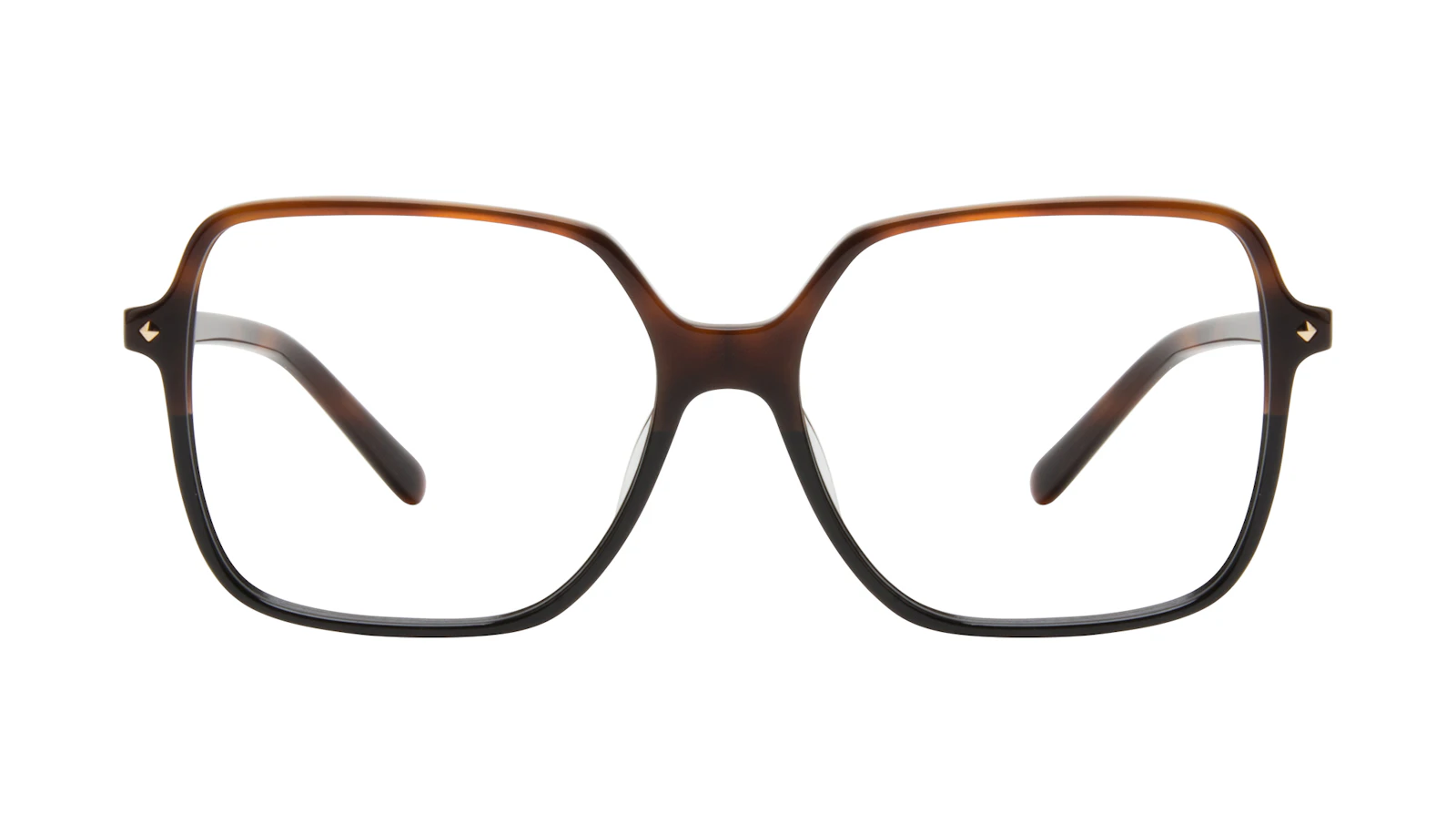 Lunettes tendance Carrée Lunettes de vue Femmes Major Tawny